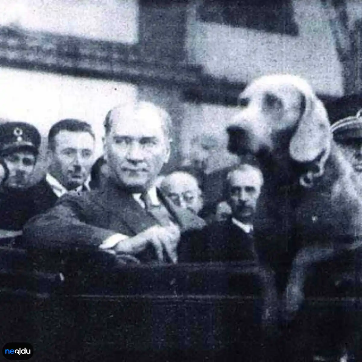 Atatürk'ün Köpeği Foks