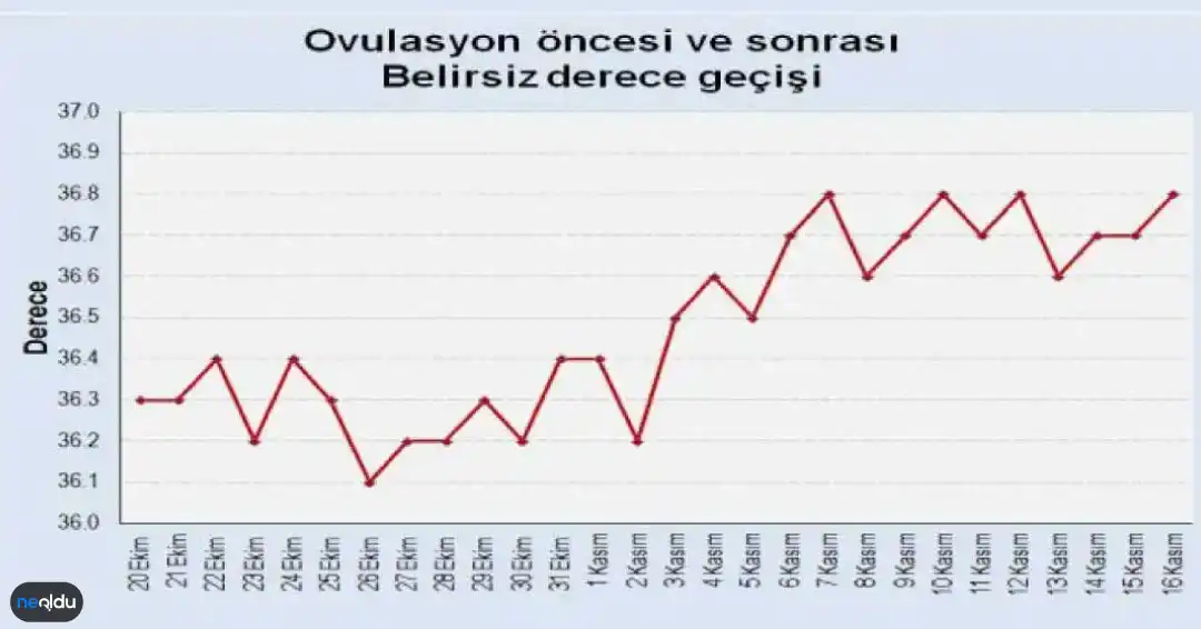 Ateş Ölçme Yöntemi ile Hamile Kalma