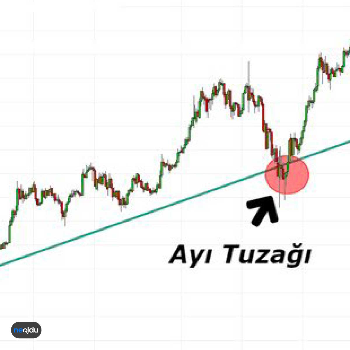 Ayı Tuzağı