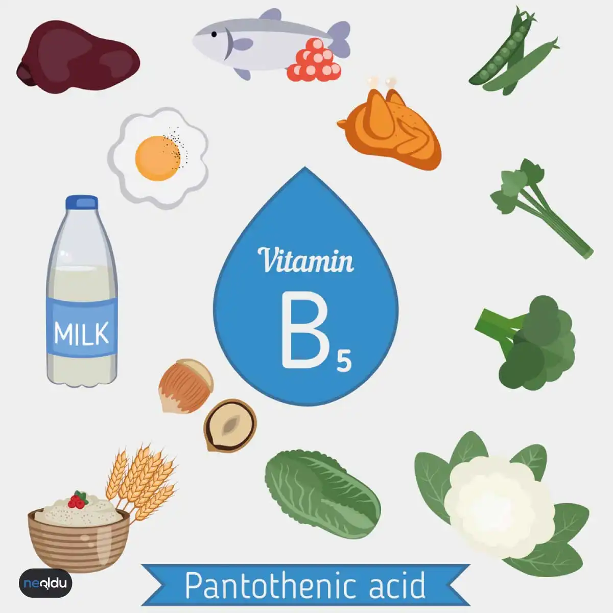 B Vitamini Faydaları