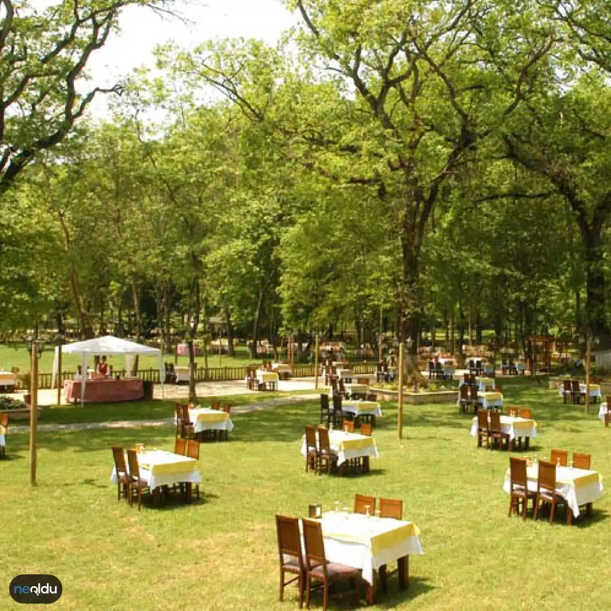 İstanbul'un En İyi Kır Restoranları