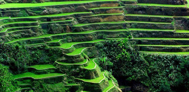 banaue-rice-terraces.jpg