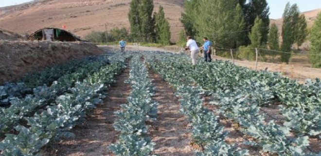 bayburt-ekonomisi.jpg