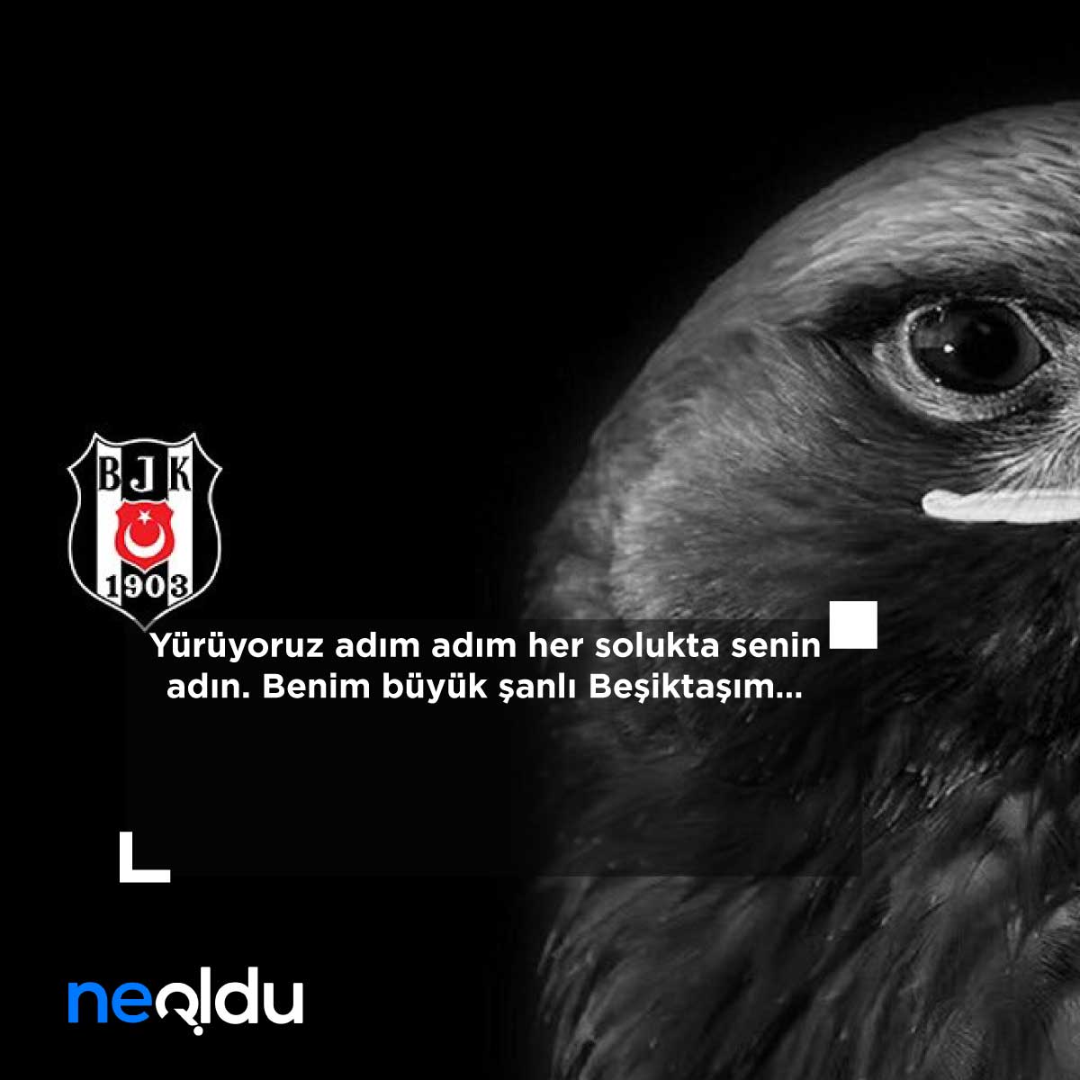 Beşiktaş Sözleri Uzun