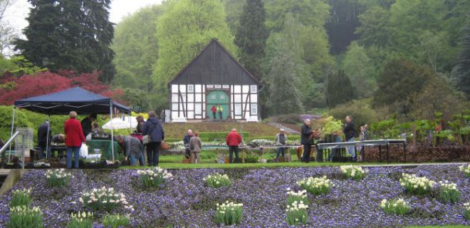 bielefeld-botanik-bahcesi.jpg