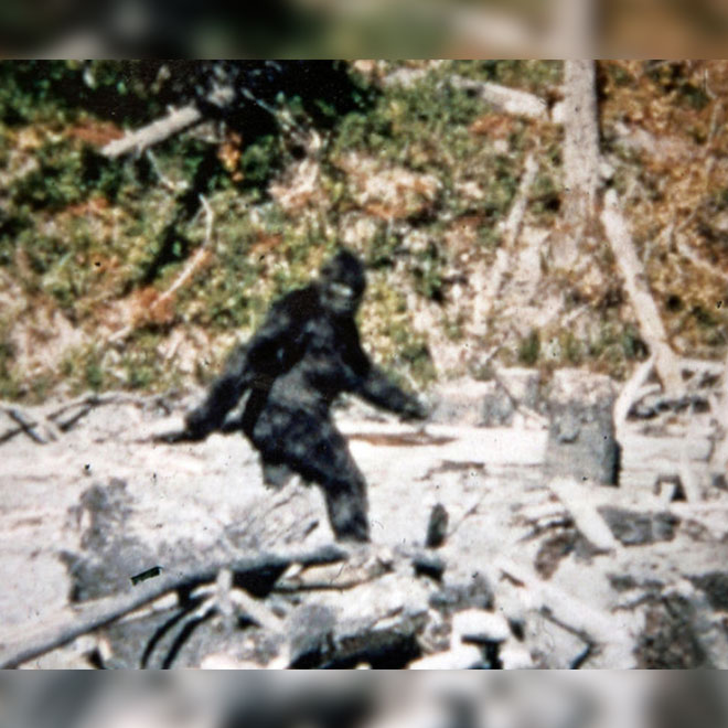 Bigfoot kocaayak görüntülendi