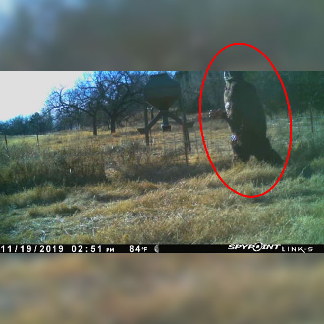 Bigfoot kocaayak görüntülendi