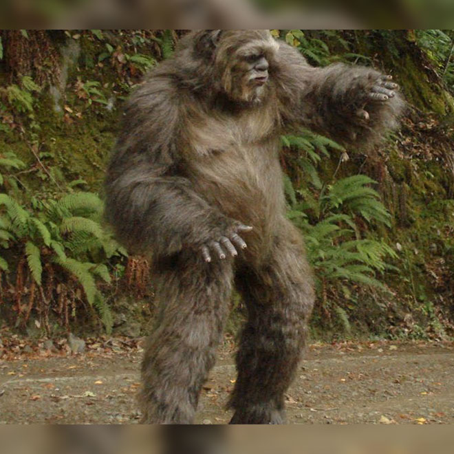 Bigfoot kocaayak görüntülendi