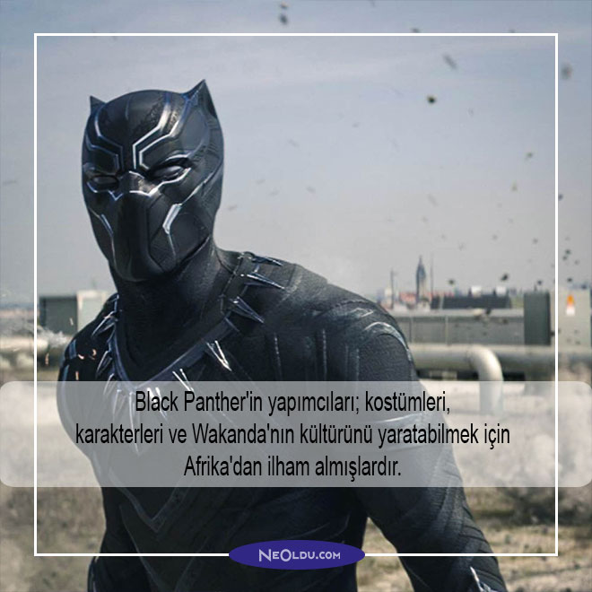 black panther hakkında bilgi