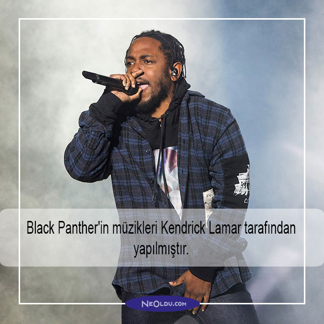 black panther hakkında bilgi
