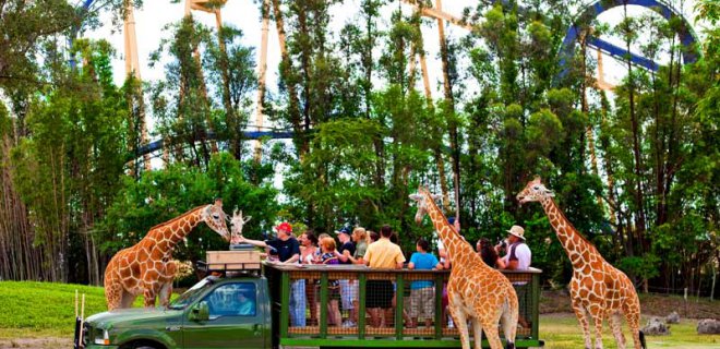 busch-gardens-tampa-bay.jpg