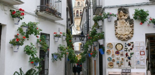 calle-de-las-flores.jpg