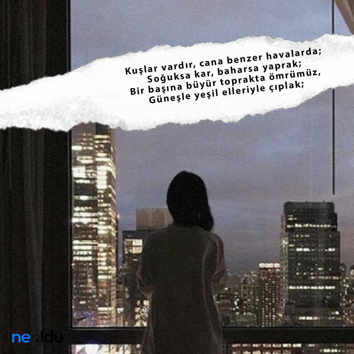 Can Yücel Şiirleri