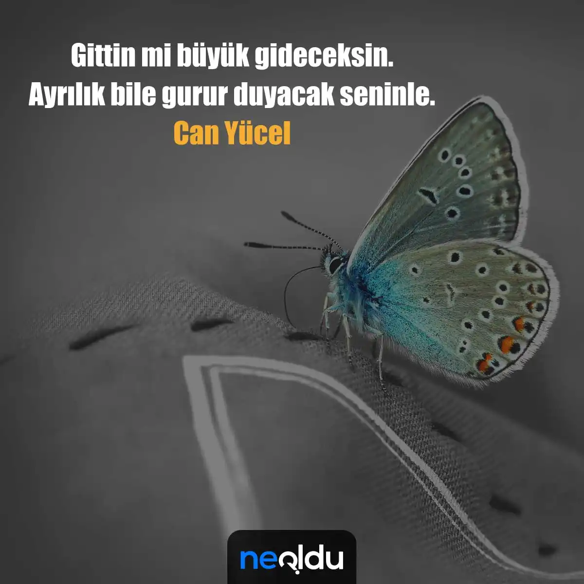 Can Yücel Sözleri