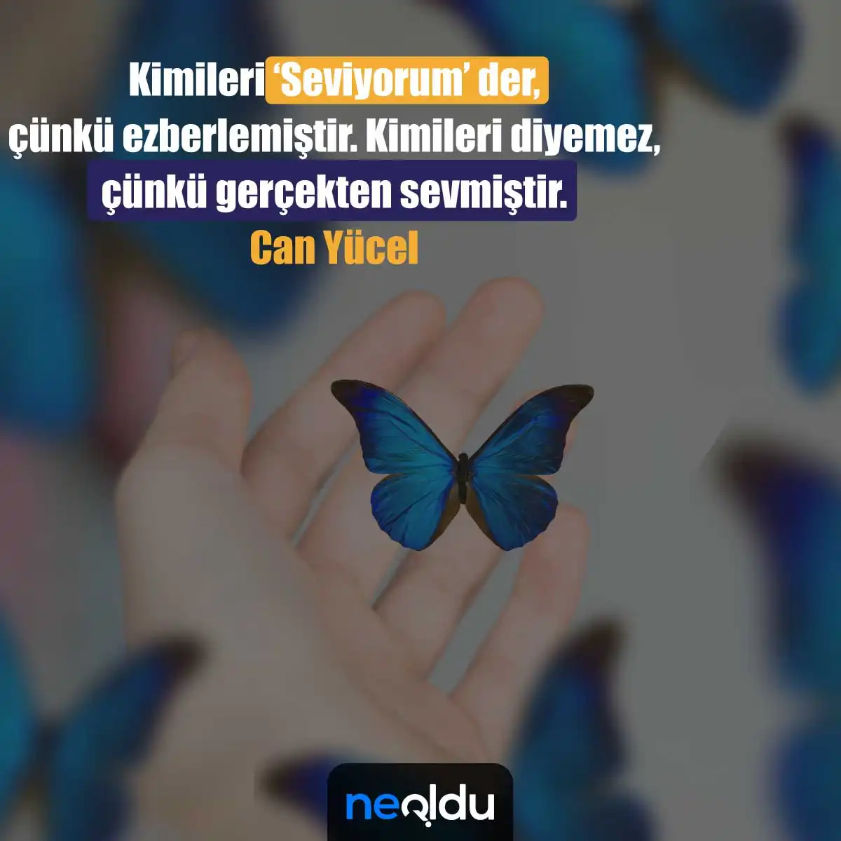 Can Yücel Sözleri