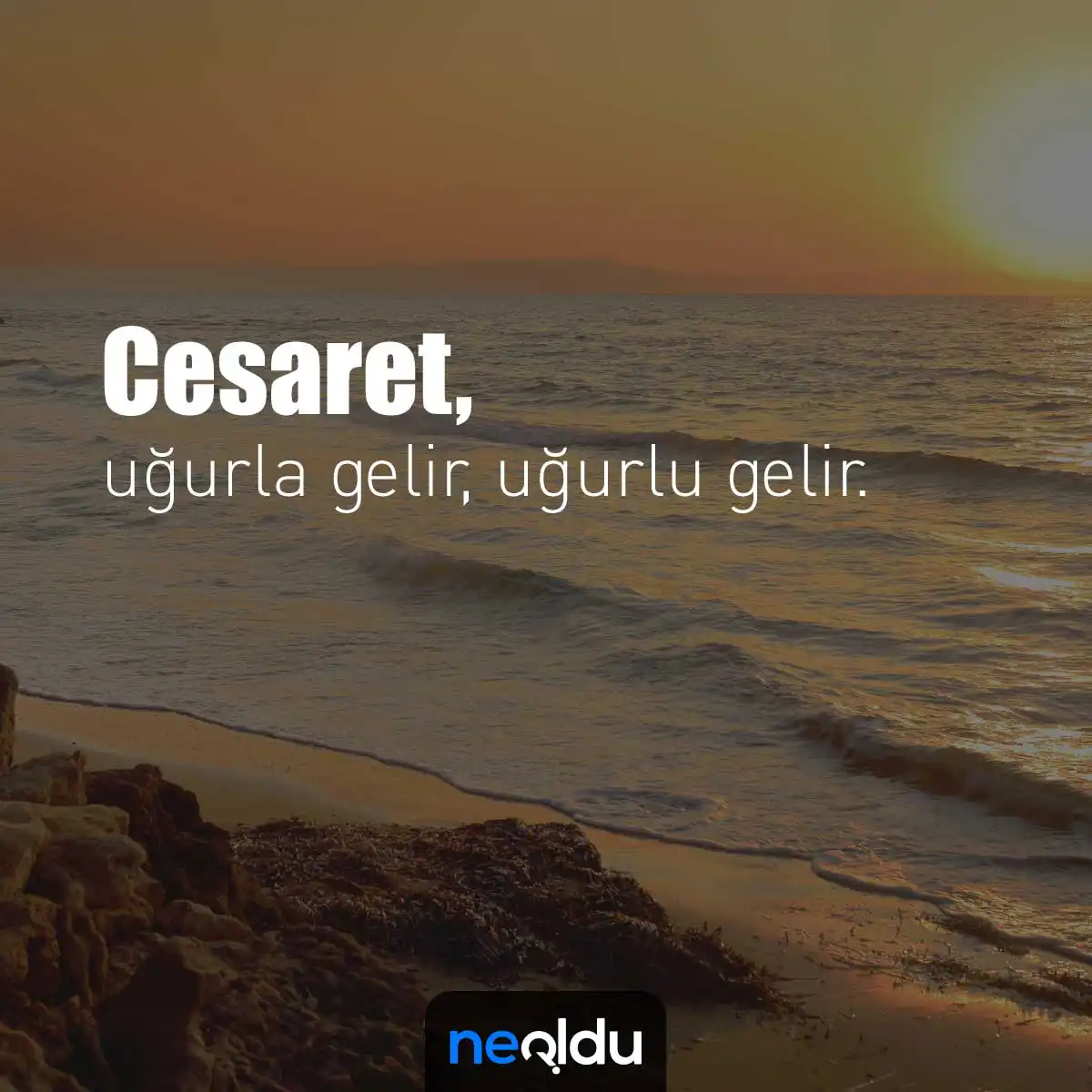 cesaret ve başarı öyküsü görseli 10