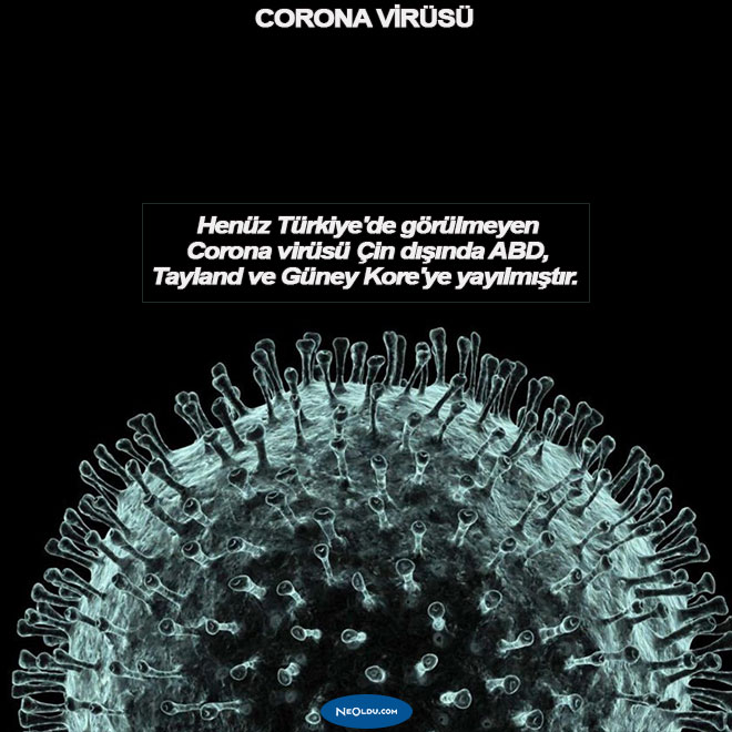 Corona Virüsü Hakkında Bilgi