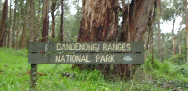 dandenong-ranges-ulusal-parki-003.jpg