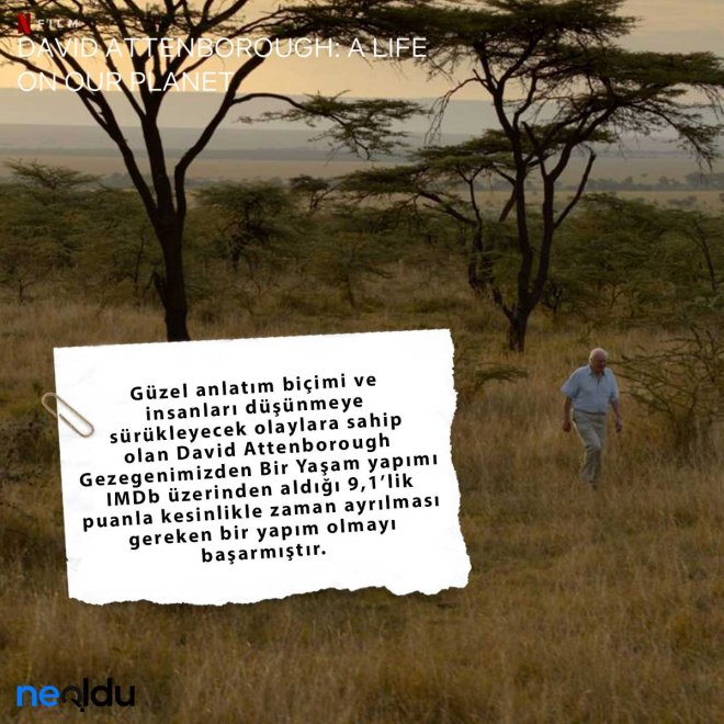 David Attenborough Gezegenimizden Bir Yaşam imdb