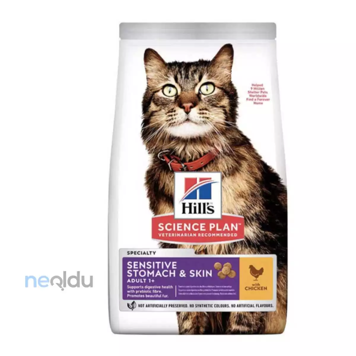 Hills Sensitive Skin Kedi Maması