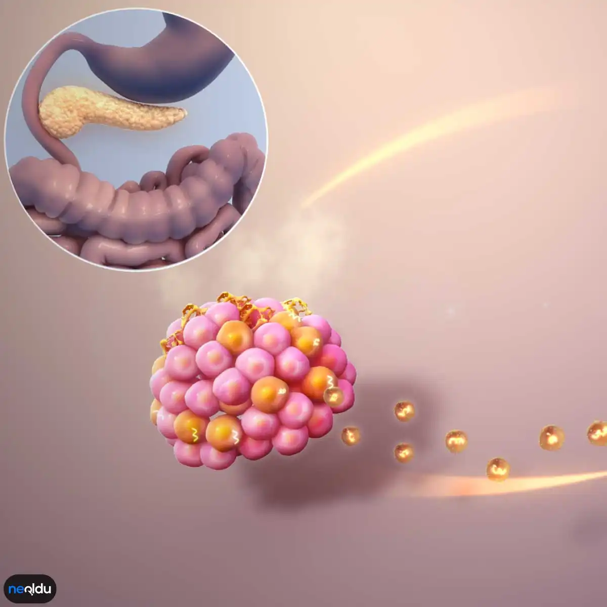 Diabetes Mellitus Teşhisi ve Tedavi Yöntemleri