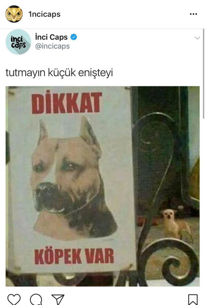 dikkat köpek var