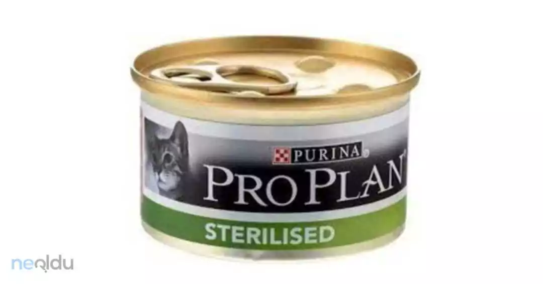 Pro Plan Hindili Kedi Maması