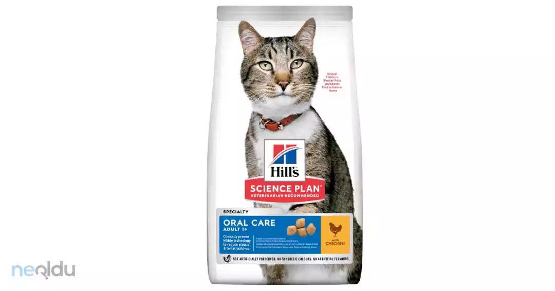 Hills Oral Care Kedi Maması