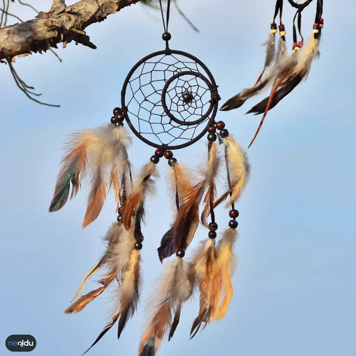 Dreamcatcher Rüya Kapanı