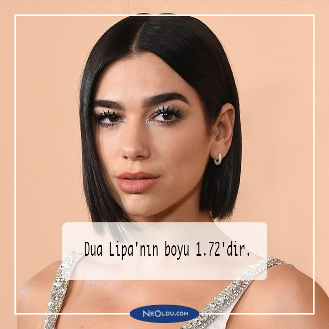 Dua Lipa Hakkında Bilgi