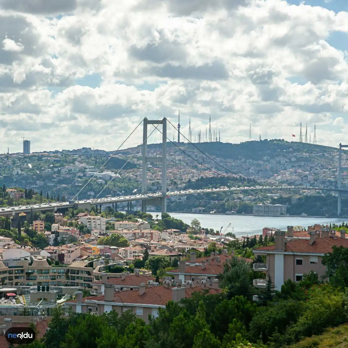 Dünyada En Çok Konuşulan Diller