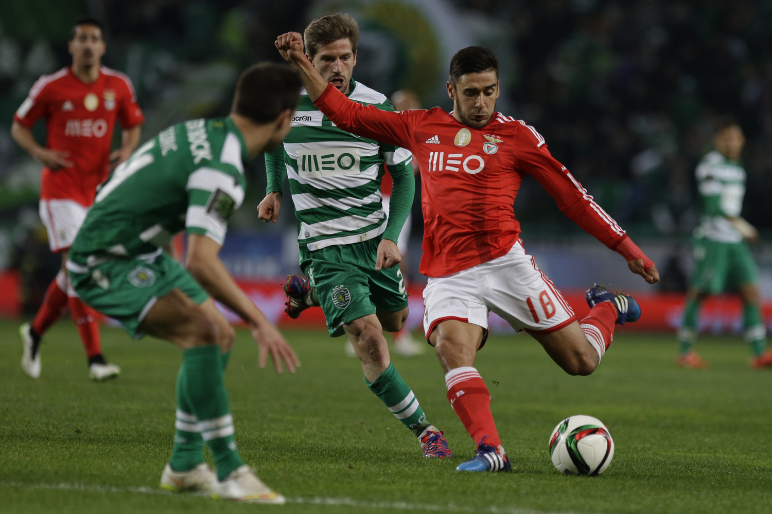 eduardo salvio benfica