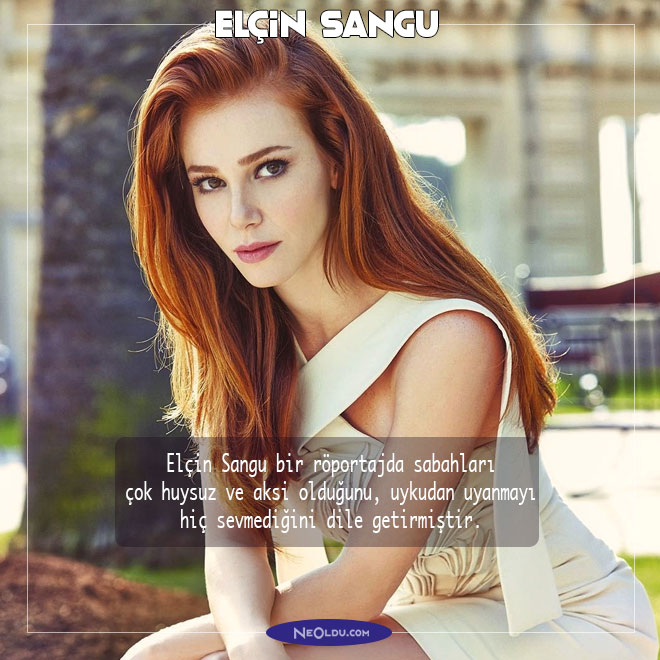 Elçin Sangu Hakkında İlginç Bilgiler