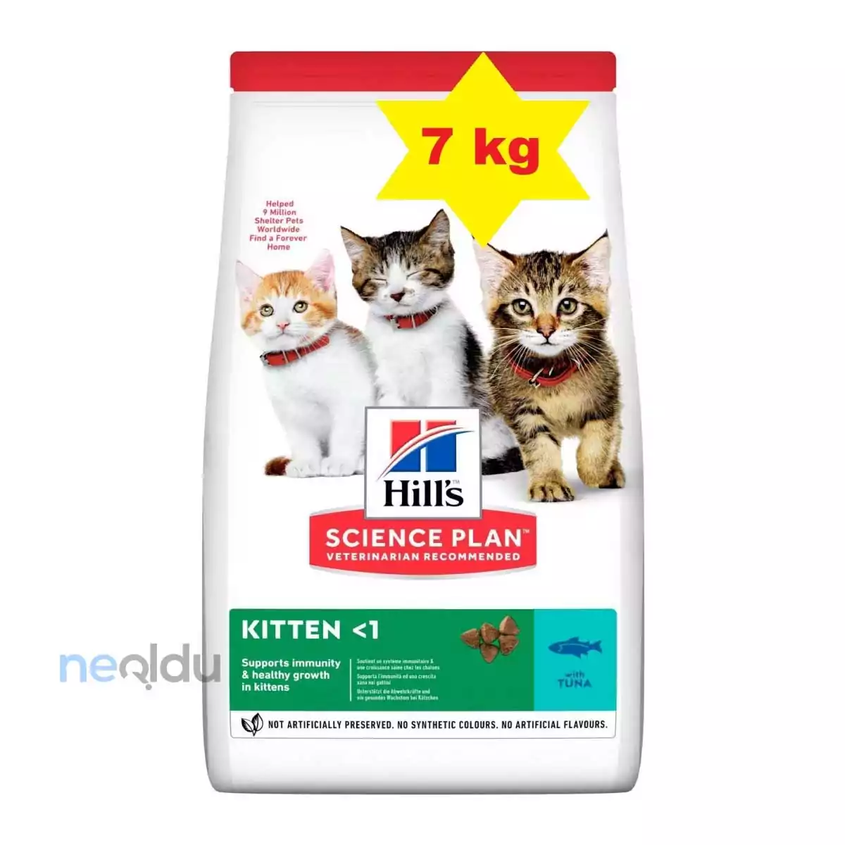 Hills Kitten Hamile ve Emziren Kedi Maması