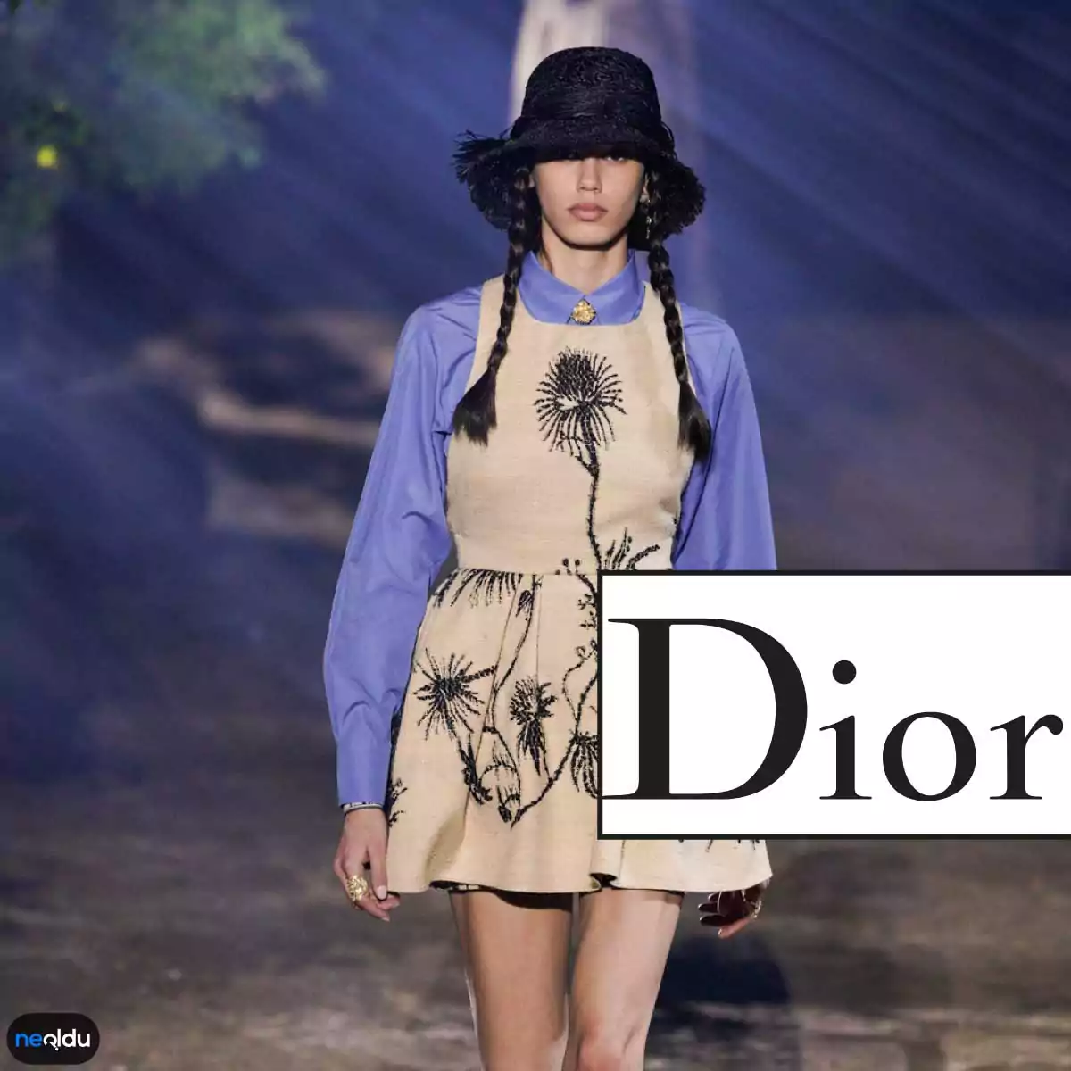 Dior Moda Markası