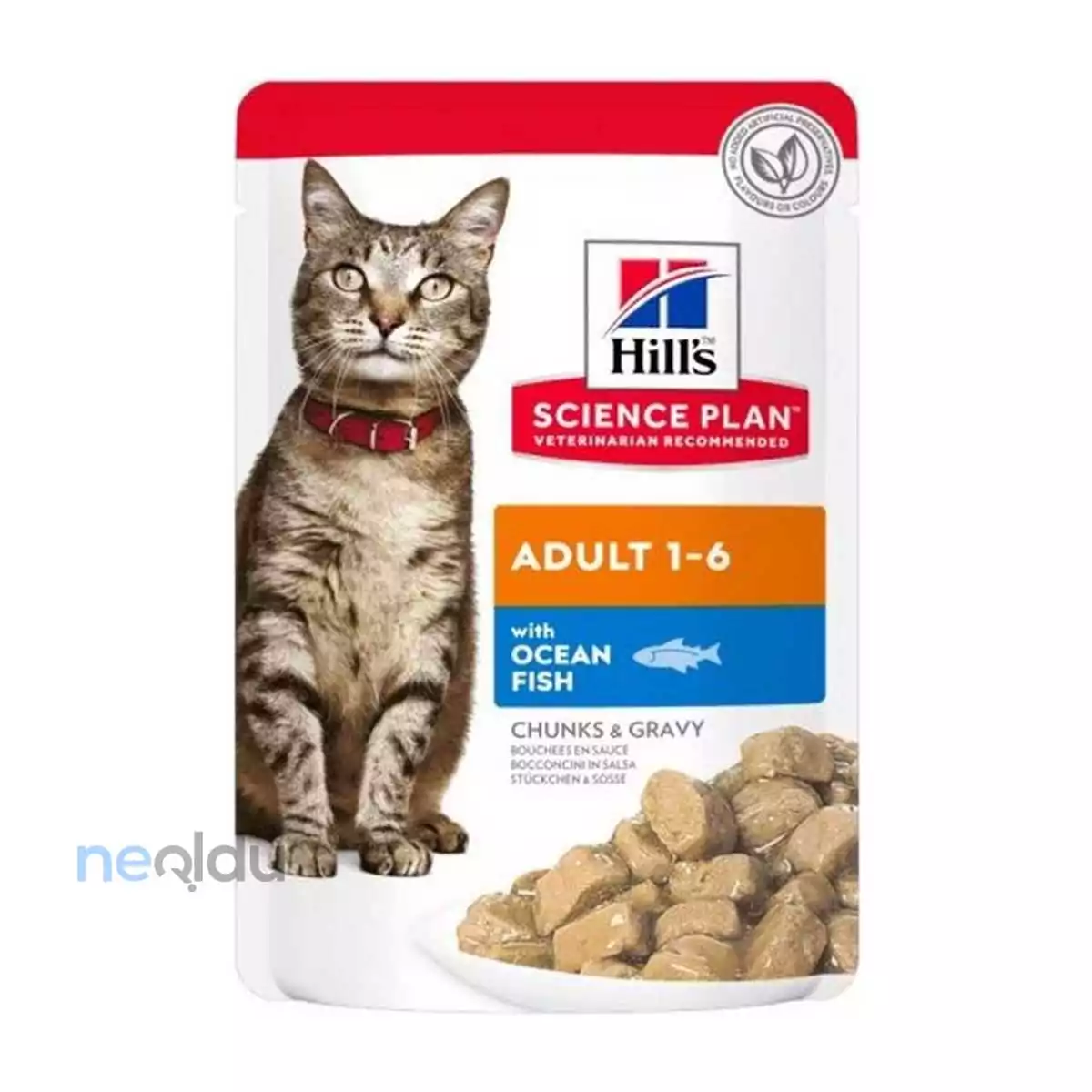 Hills Konserve Kedi Maması