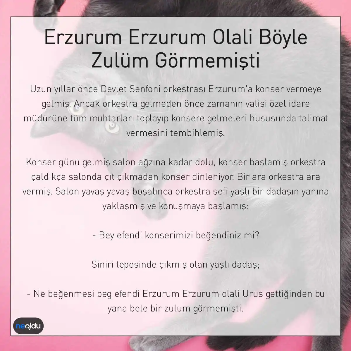 Erzurum folklorundan bir fıkra görseli