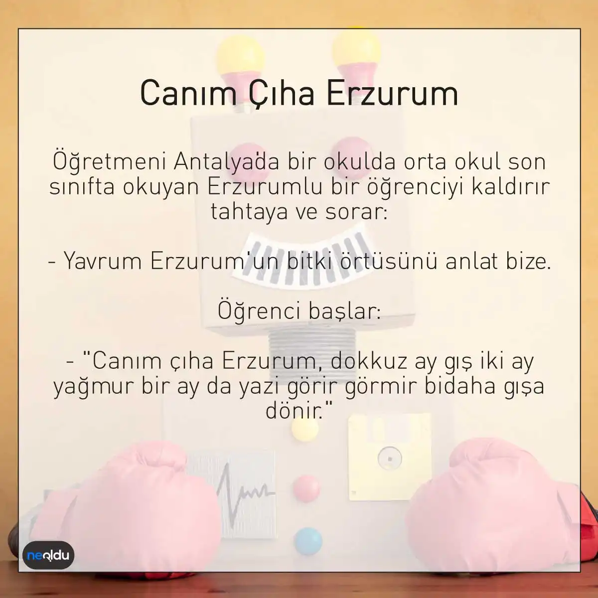 Erzurum kültürü mizah örneği