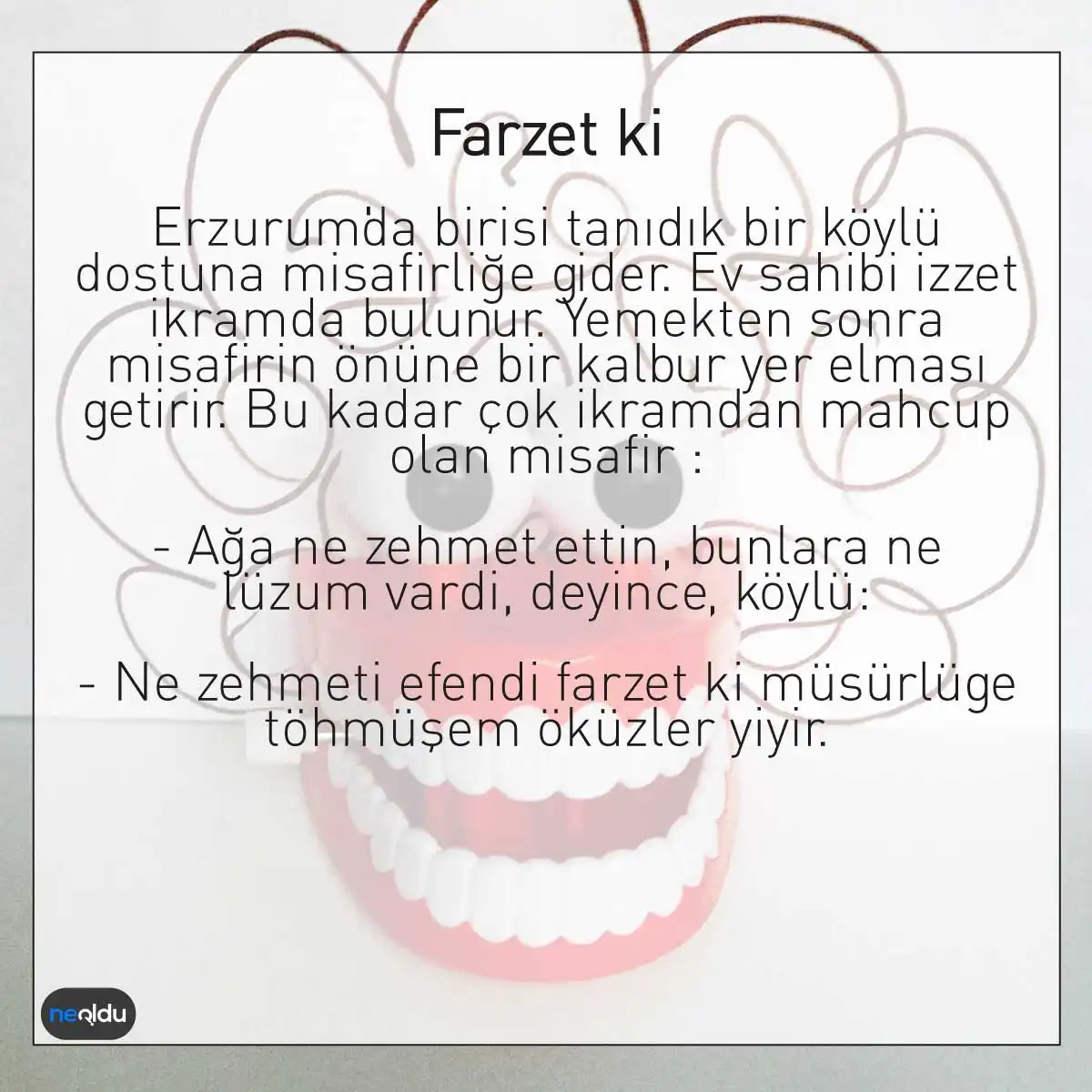 Erzurum fıkrası farzet ki