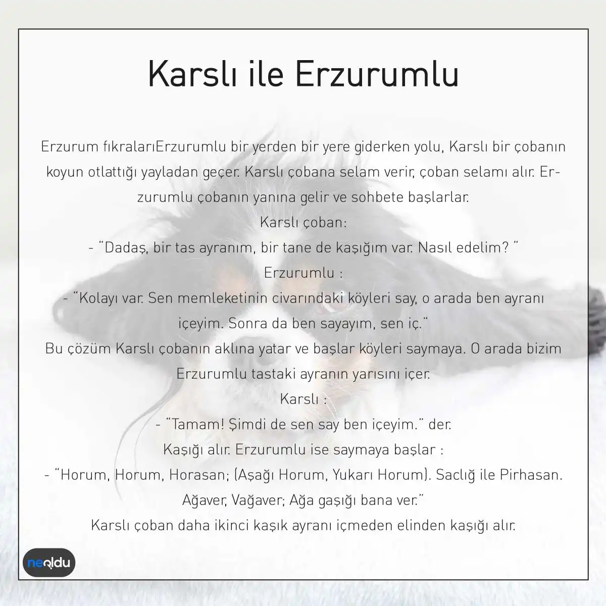 Karslı ile Erzurumlu fıkra