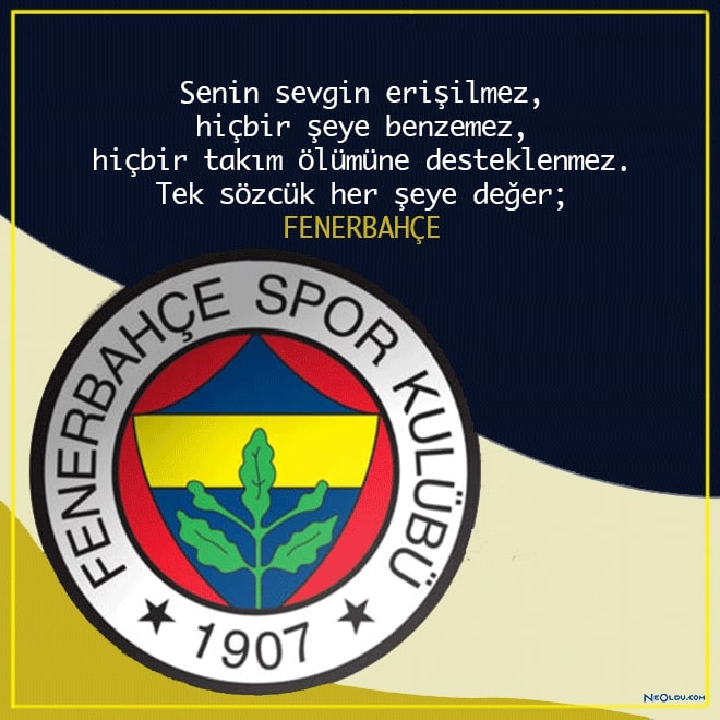 Fenerbahçe Stadyum Manzarası