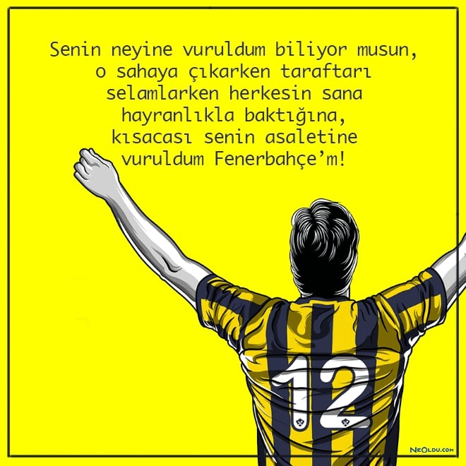 Fenerbahçe Kapak Görseli