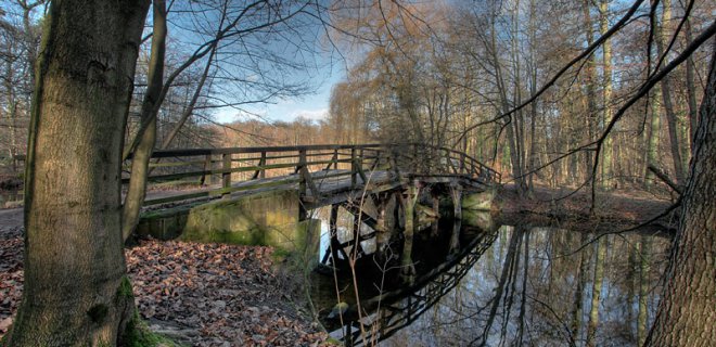 frankfurt-sehir-ormani.jpg