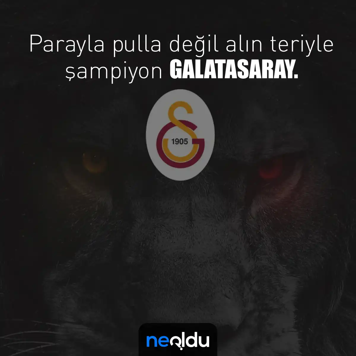 Galatasaray Marşları