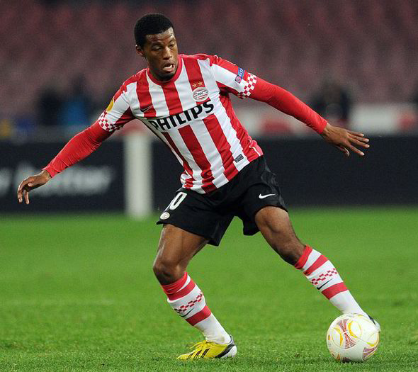 georginio wijnaldum psv eindhoven