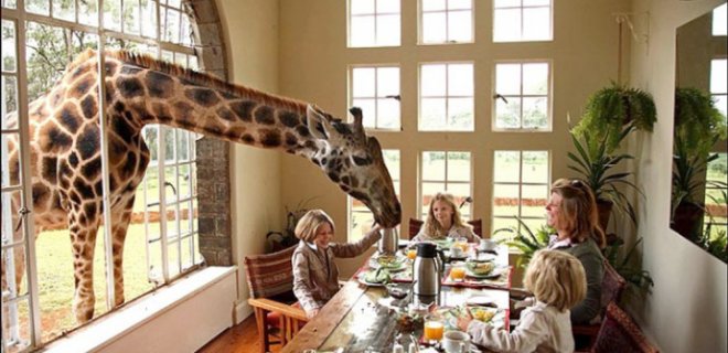 giraffe-manor-otel-2.jpg