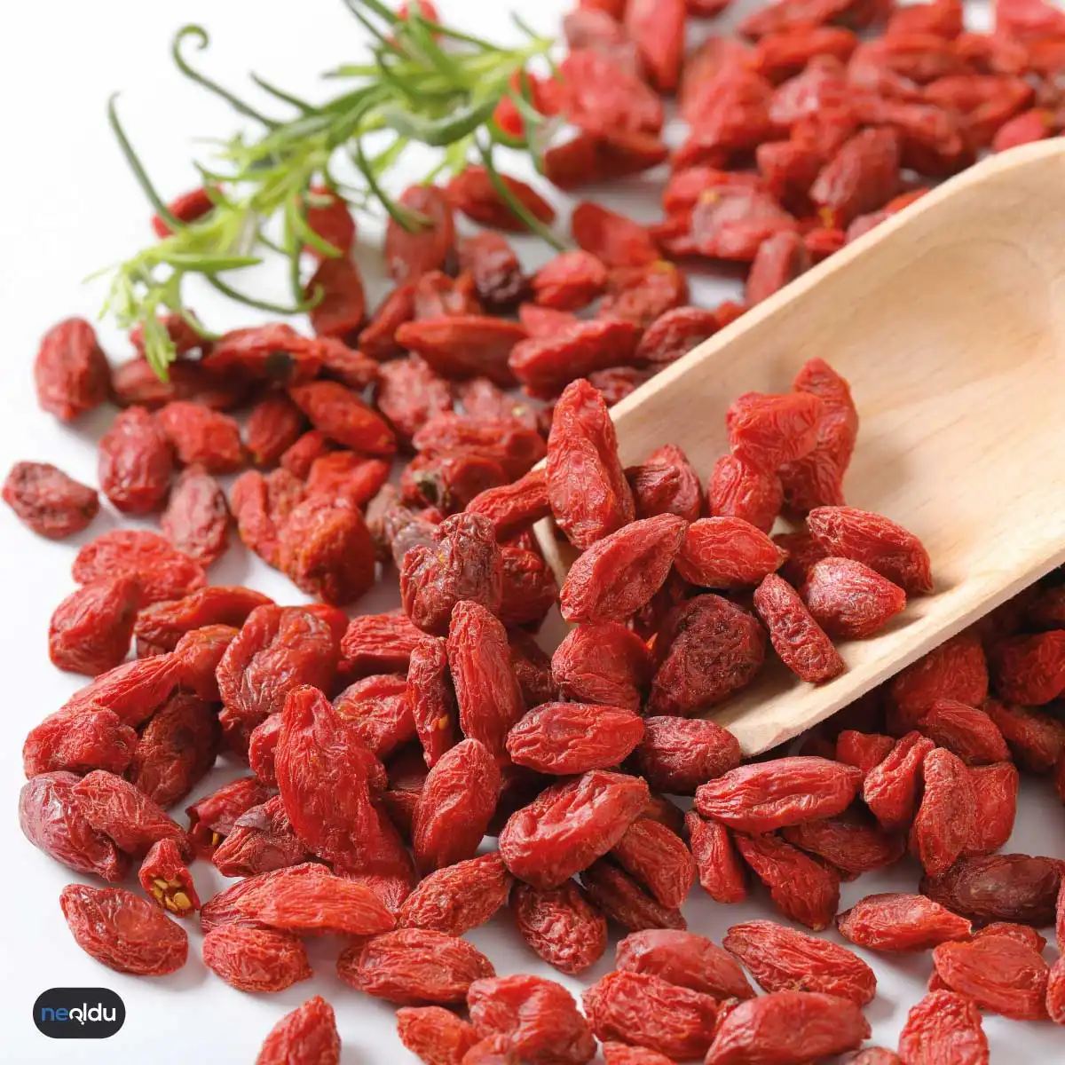 Goji Berry Faydaları