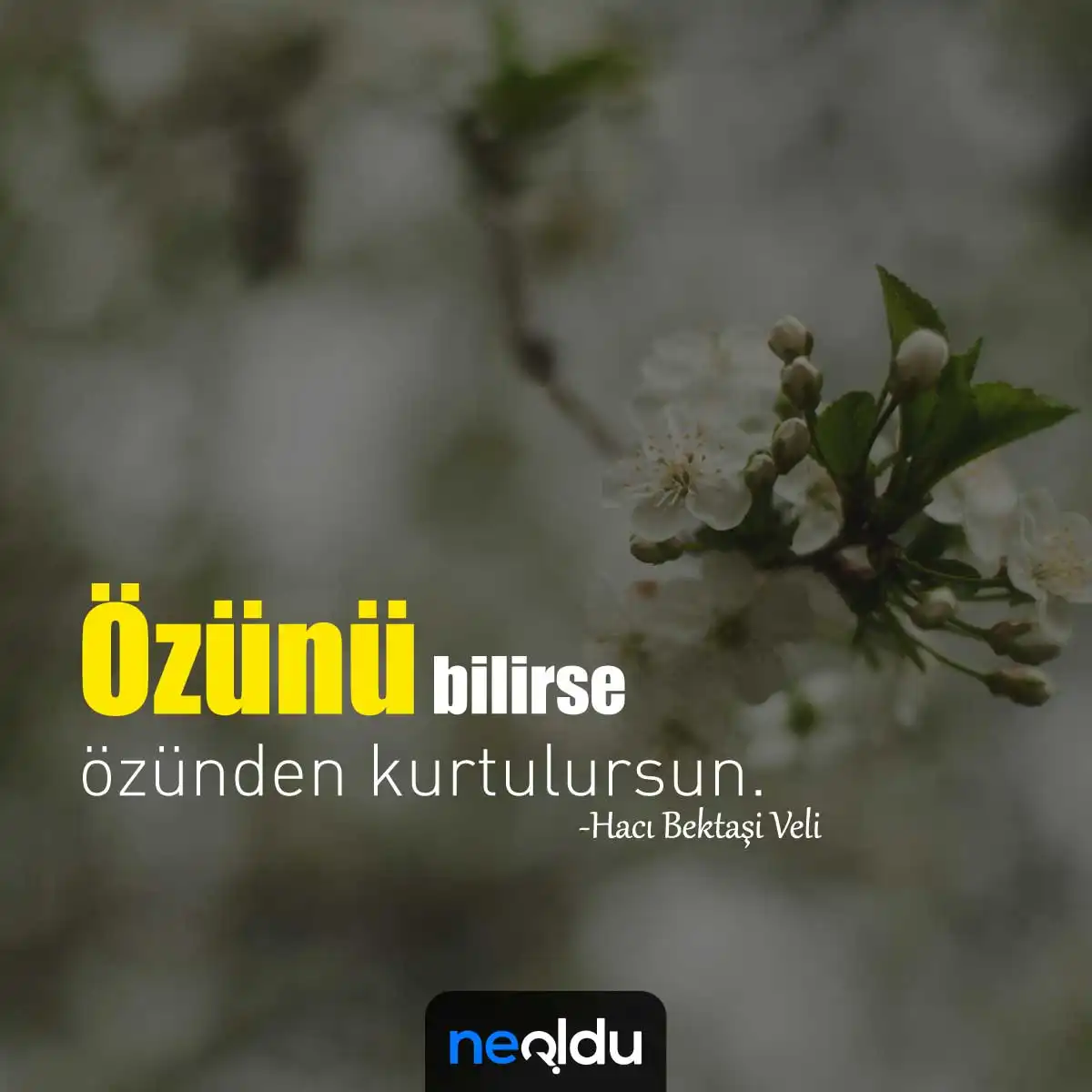 Hacı Bektaşi Veli öğrenmek ve kendini bilmek sözleri