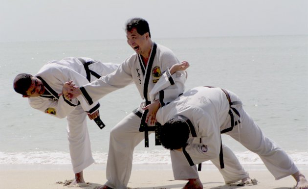 hapkido.jpg