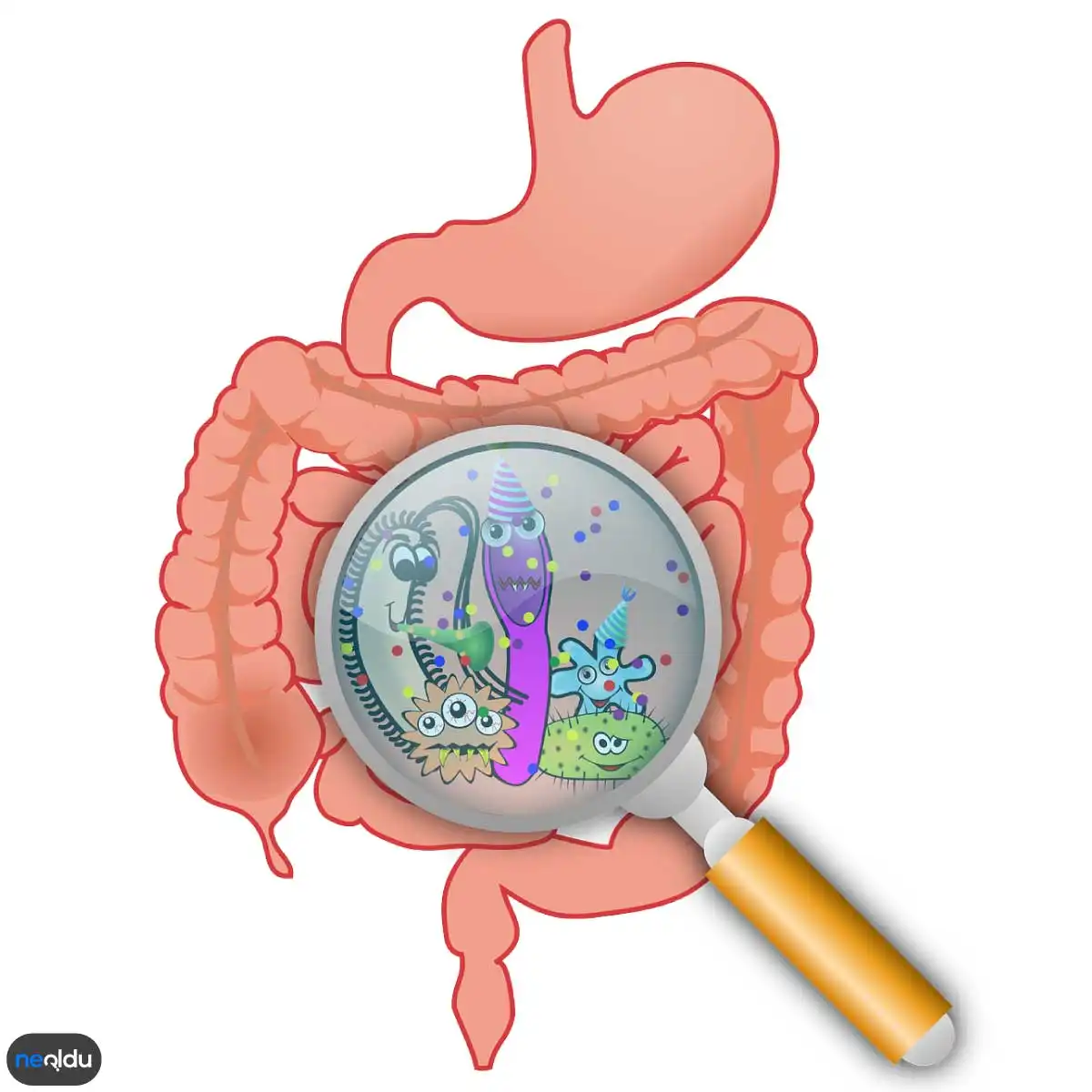 Helicobacter Pylori